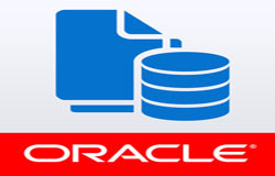 Oracle数据库管理工具有哪些?-北京KK体育·(中国)在线登录公司