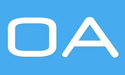 软件外包公司、OA系统开发功能有哪些？费用是多少-KK体育·(中国)在线登录公司[北京KK体育·(中国)在线登录]
